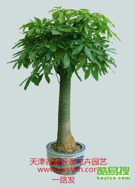 探索天津西青酷易搜 便捷高效的租赁服务新选择